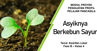 Download Modul P5 Fase B Berkebun Sayur